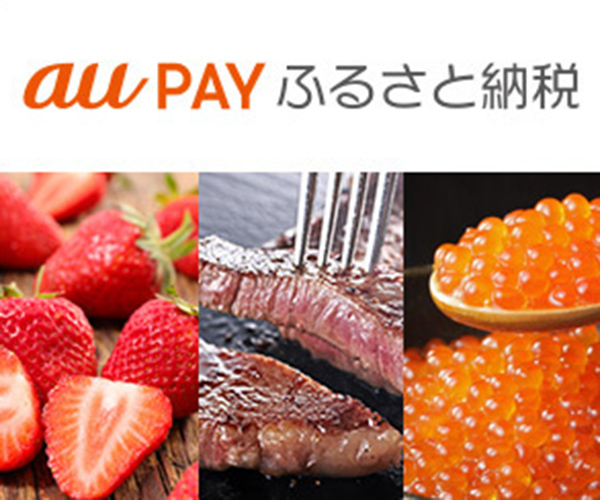 au PAY ふるさと納税